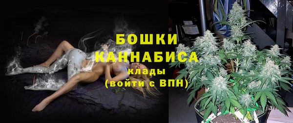 мдпв Михайлов
